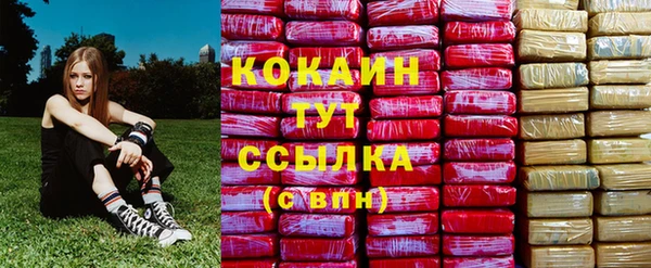 мдпв Бородино