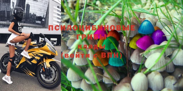 мдпв Бородино