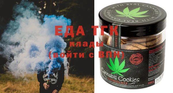 мдпв Бородино