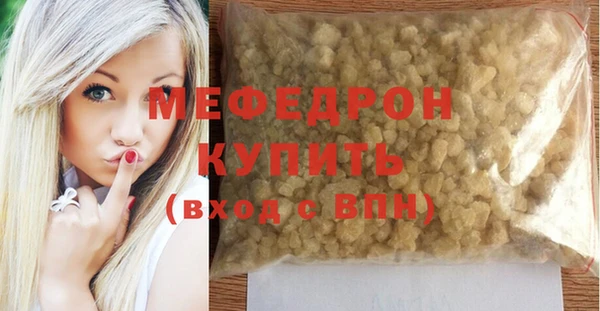 мдпв Бородино