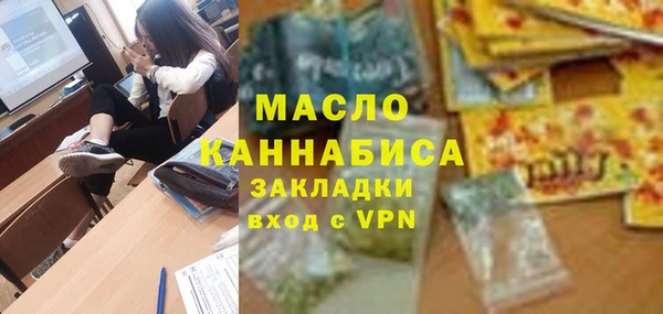 мдпв Бородино
